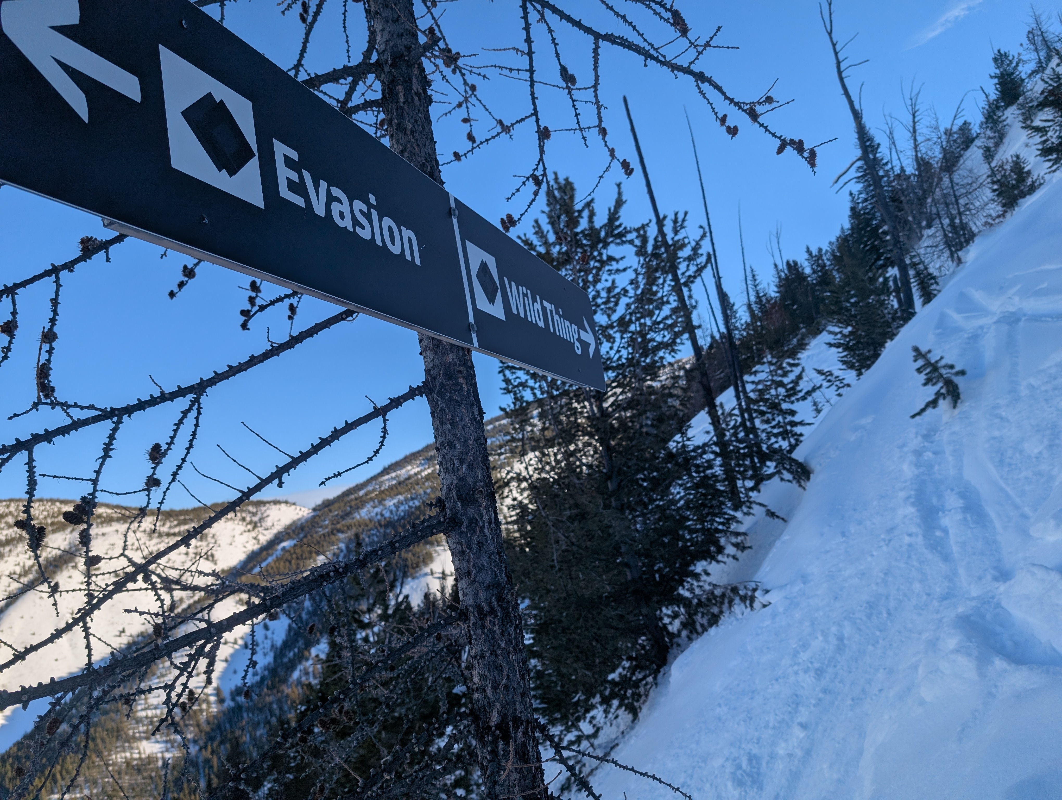 Evasion Wildthing trail intersection 